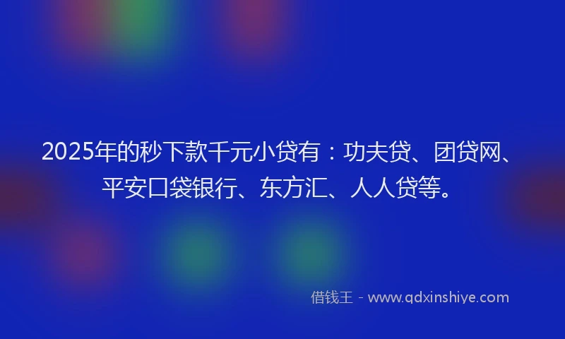 2025年的秒下款千元小贷有：功夫贷、团贷网、平安口袋银行、东方汇、人人贷等。