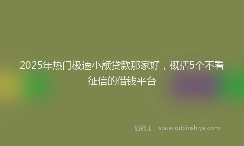 2025年热门极速小额贷款那家好，概括5个不看征信的借钱平台