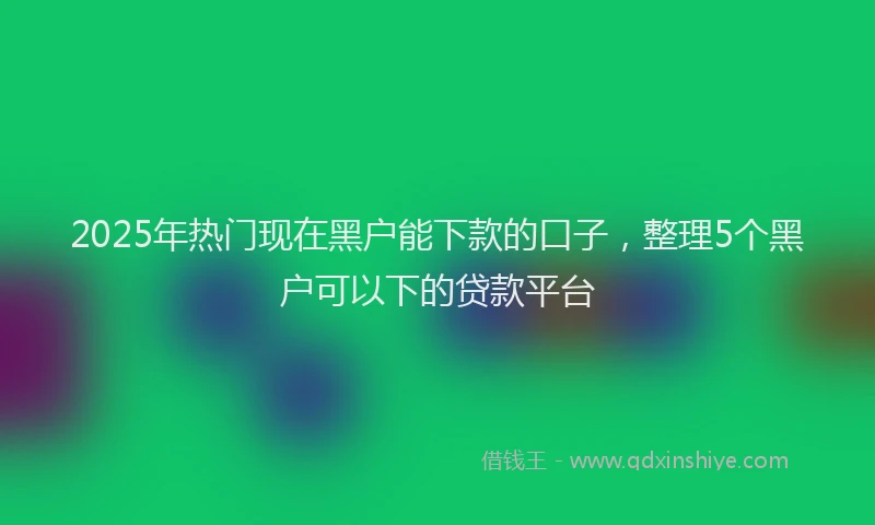 2025年热门现在黑户能下款的口子，整理5个黑户可以下的贷款平台
