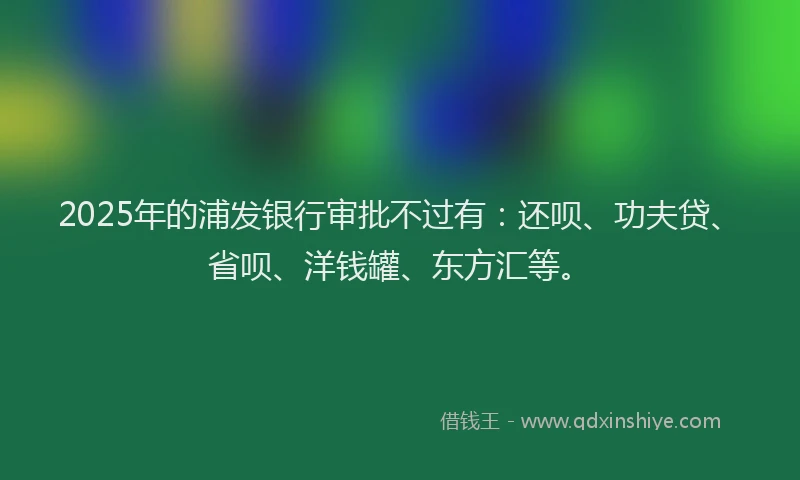 2025年的浦发银行审批不过有：还呗、功夫贷、省呗、洋钱罐、东方汇等。