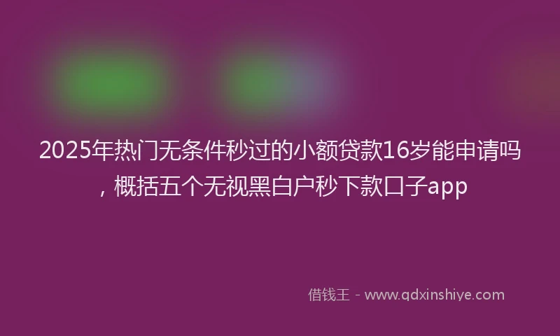 2025年热门无条件秒过的小额贷款16岁能申请吗，概括五个无视黑白户秒下款口子app