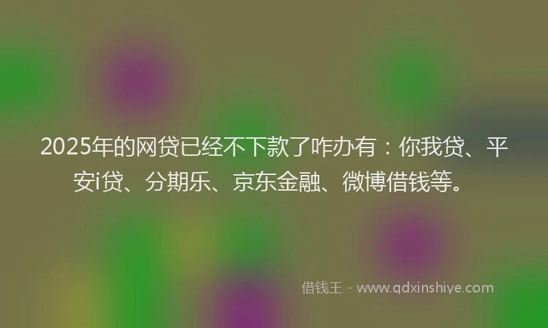2025年的网贷已经不下款了咋办有：你我贷、平安i贷、分期乐、京东金融、微博借钱等。