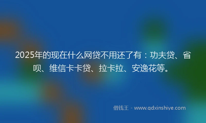 2025年的现在什么网贷不用还了有：功夫贷、省呗、维信卡卡贷、拉卡拉、安逸花等。