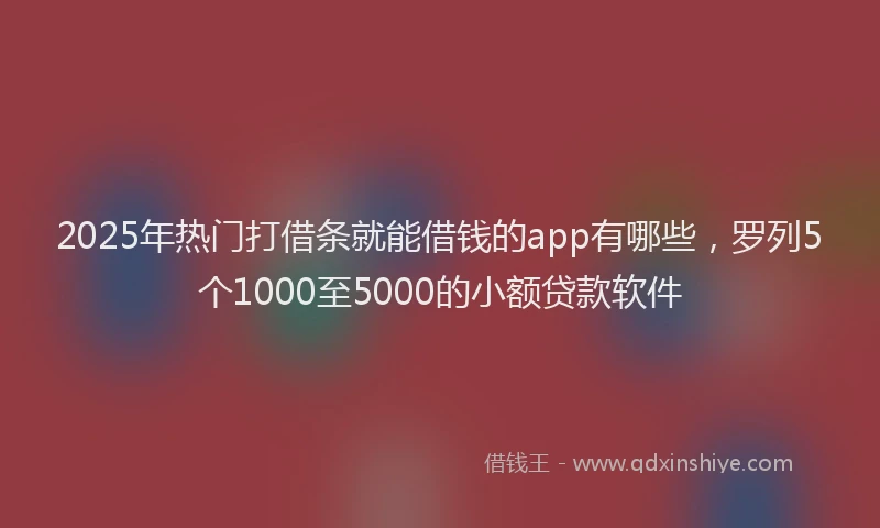 2025年热门打借条就能借钱的app有哪些，罗列5个1000至5000的小额贷款软件