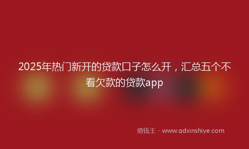 2025年热门新开的贷款口子怎么开，汇总五个不看欠款的贷款app