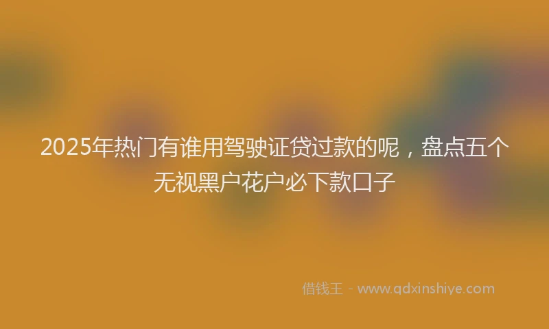 2025年热门有谁用驾驶证贷过款的呢，盘点五个无视黑户花户必下款口子