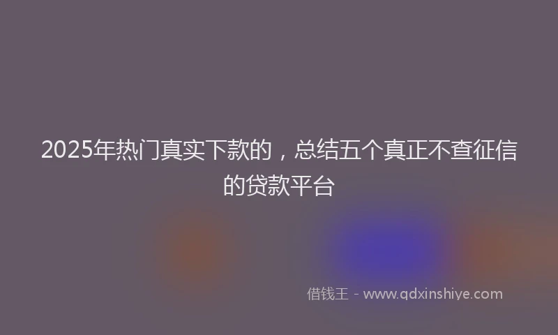 2025年热门真实下款的，总结五个真正不查征信的贷款平台