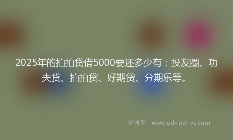 2025年的拍拍贷借5000要还多少有：投友圈、功夫贷、拍拍贷、好期贷、分期乐等。