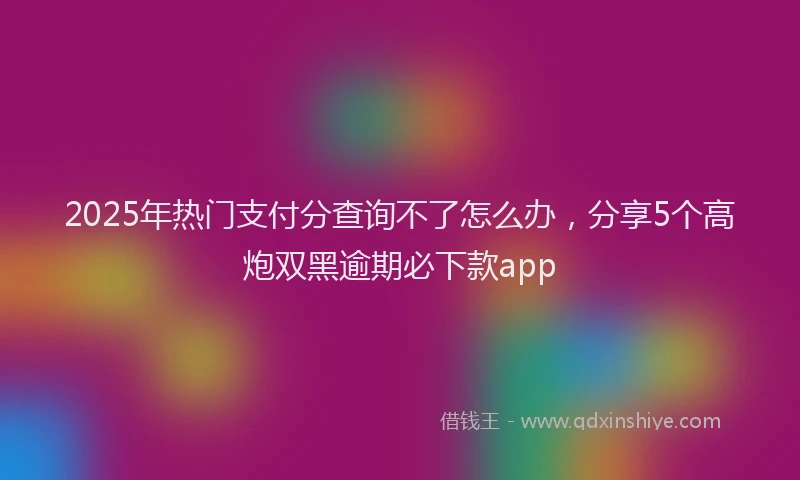 2025年热门支付分查询不了怎么办，分享5个高炮双黑逾期必下款app