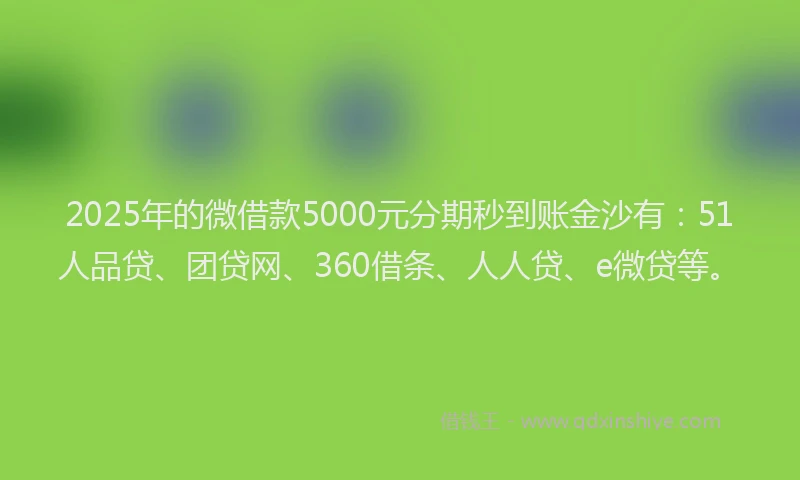 2025年的微借款5000元分期秒到账金沙有：51人品贷、团贷网、360借条、人人贷、e微贷等。