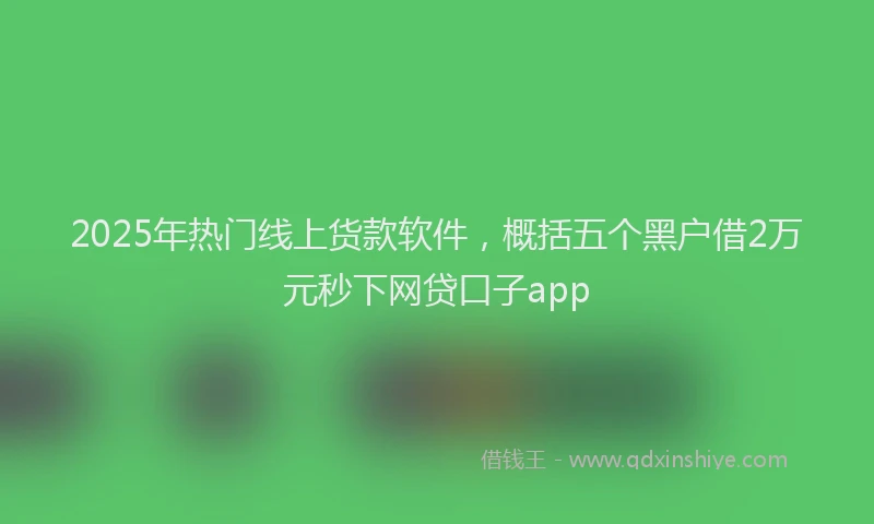 2025年热门线上货款软件，概括五个黑户借2万元秒下网贷口子app
