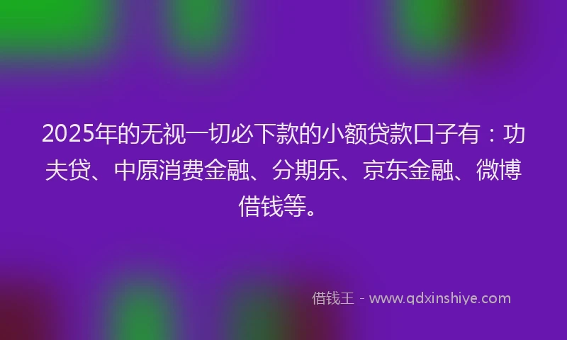 2025年的无视一切必下款的小额贷款口子有：功夫贷、中原消费金融、分期乐、京东金融、微博借钱等。