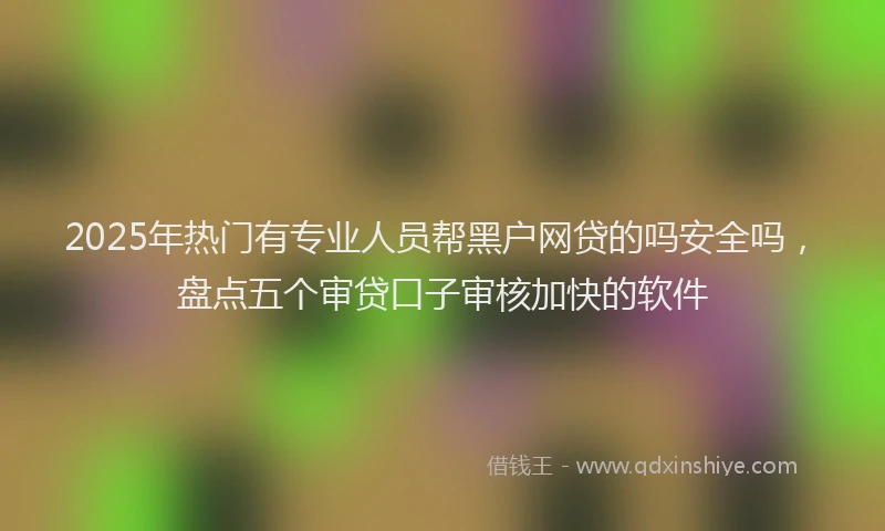 2025年热门有专业人员帮黑户网贷的吗安全吗，盘点五个审贷口子审核加快的软件