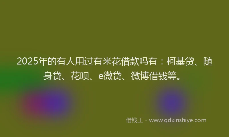 2025年的有人用过有米花借款吗有：柯基贷、随身贷、花呗、e微贷、微博借钱等。