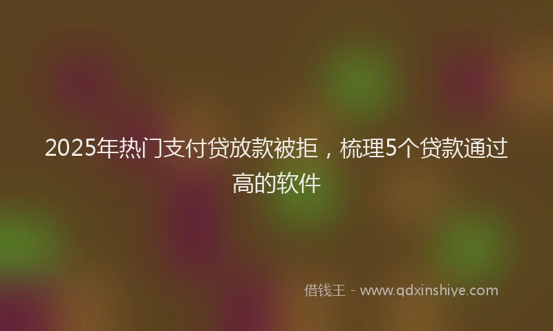 2025年热门支付贷放款被拒，梳理5个贷款通过高的软件