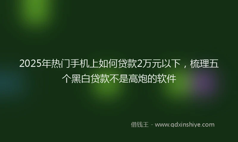 2025年热门手机上如何贷款2万元以下，梳理五个黑白贷款不是高炮的软件