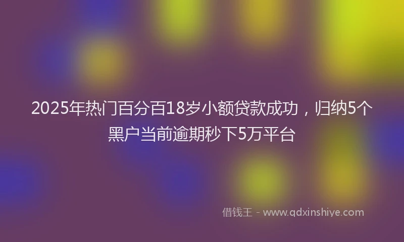 2025年热门百分百18岁小额贷款成功，归纳5个黑户当前逾期秒下5万平台