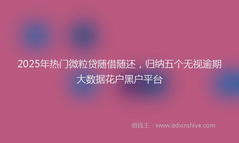 2025年热门微粒贷随借随还，归纳五个无视逾期大数据花户黑户平台