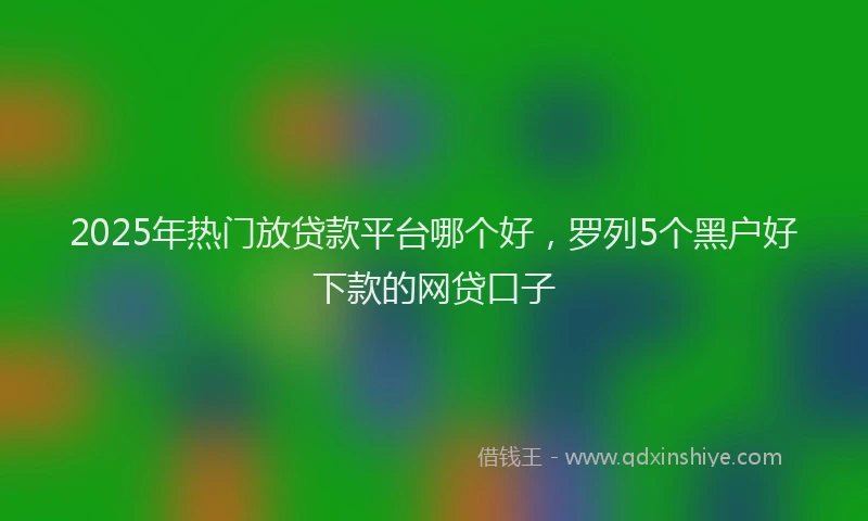 2025年热门放贷款平台哪个好，罗列5个黑户好下款的网贷口子