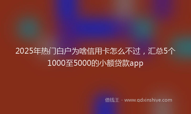 2025年热门白户为啥信用卡怎么不过，汇总5个1000至5000的小额贷款app