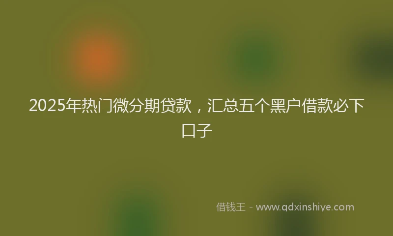2025年热门微分期贷款，汇总五个黑户借款必下口子