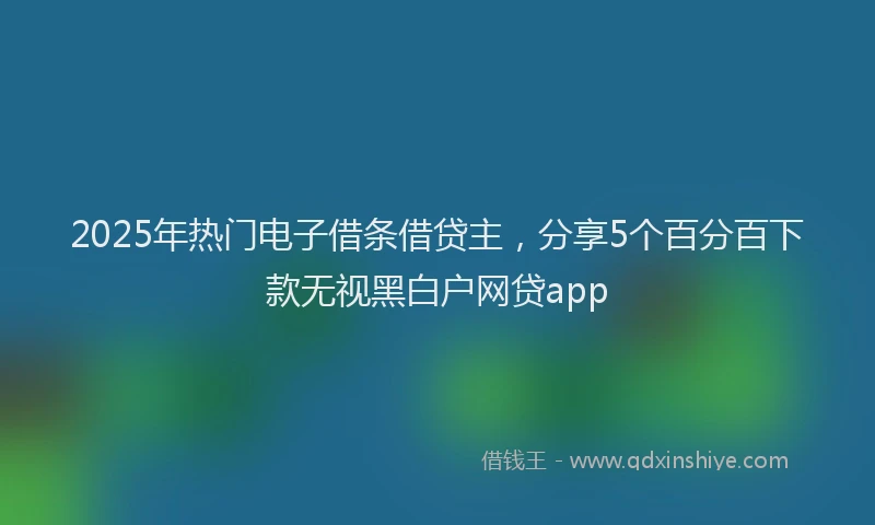 2025年热门电子借条借贷主，分享5个百分百下款无视黑白户网贷app