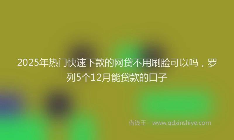 2025年热门快速下款的网贷不用刷脸可以吗，罗列5个12月能贷款的口子
