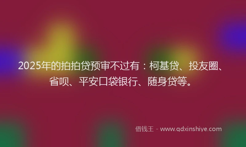 2025年的拍拍贷预审不过有：柯基贷、投友圈、省呗、平安口袋银行、随身贷等。