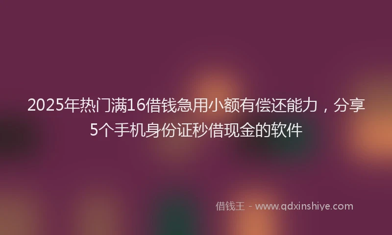 2025年热门满16借钱急用小额有偿还能力，分享5个手机身份证秒借现金的软件
