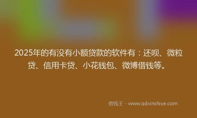 2025年的有没有小额贷款的软件有：还呗、微粒贷、信用卡贷、小花钱包、微博借钱等。