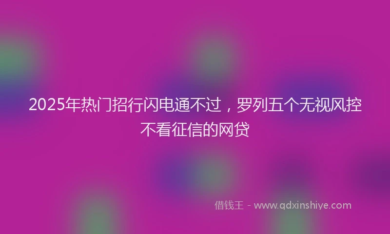 2025年热门招行闪电通不过，罗列五个无视风控不看征信的网贷
