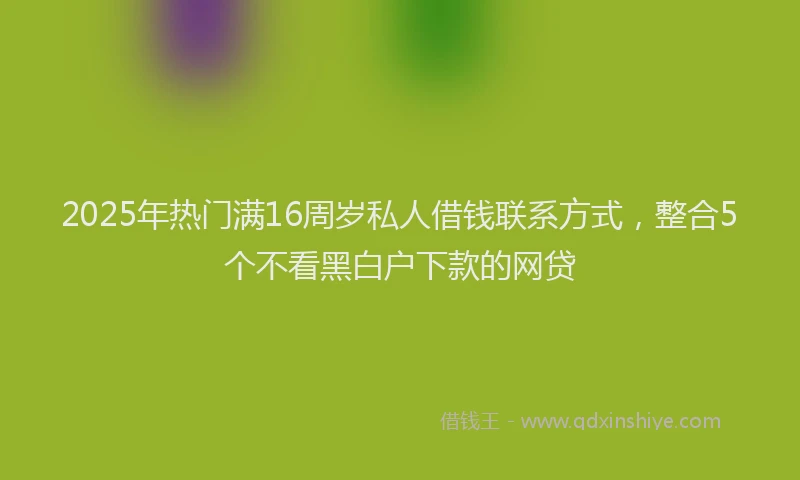 2025年热门满16周岁私人借钱联系方式，整合5个不看黑白户下款的网贷
