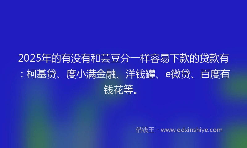 2025年的有没有和芸豆分一样容易下款的贷款有：柯基贷、度小满金融、洋钱罐、e微贷、百度有钱花等。