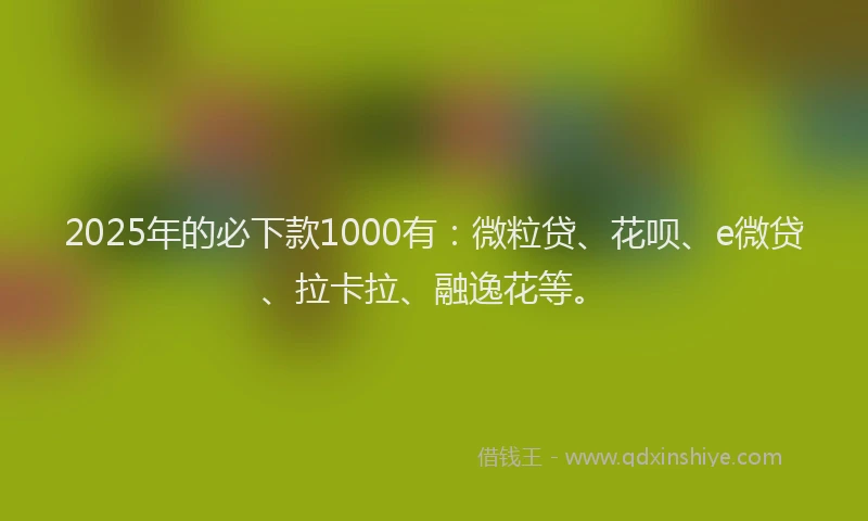 2025年的必下款1000有：微粒贷、花呗、e微贷、拉卡拉、融逸花等。