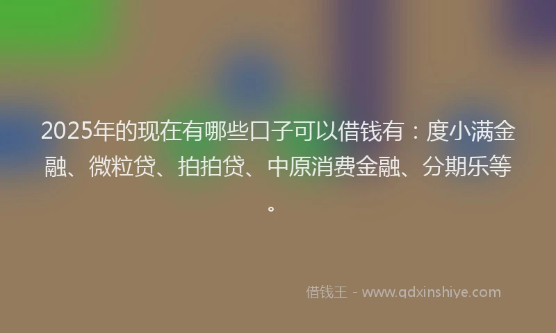 2025年的现在有哪些口子可以借钱有：度小满金融、微粒贷、拍拍贷、中原消费金融、分期乐等。