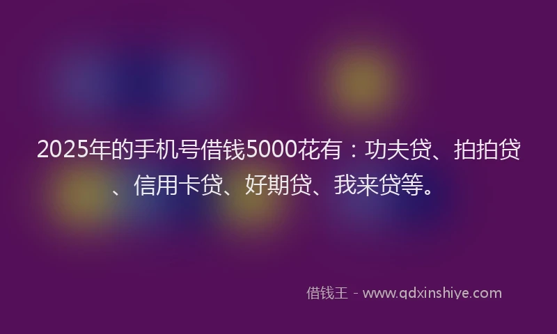 2025年的手机号借钱5000花有：功夫贷、拍拍贷、信用卡贷、好期贷、我来贷等。