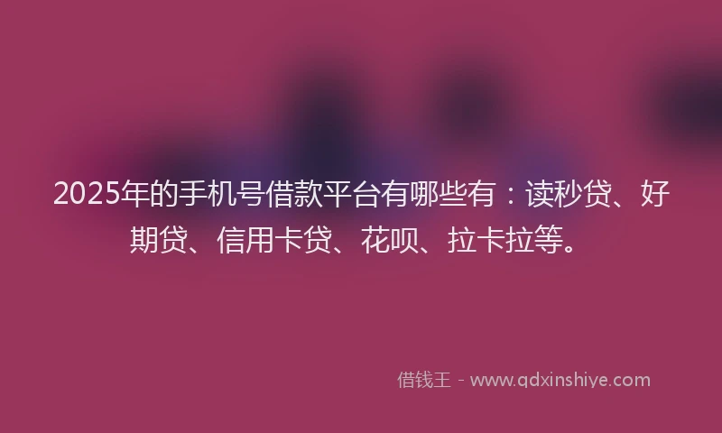 2025年的手机号借款平台有哪些有：读秒贷、好期贷、信用卡贷、花呗、拉卡拉等。