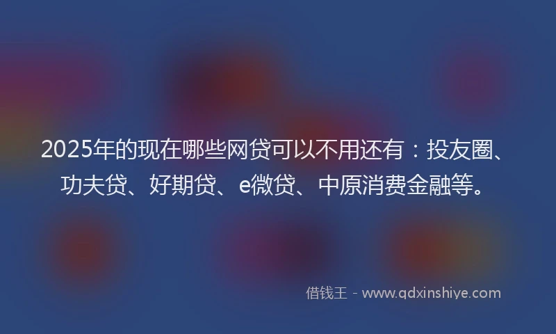 2025年的现在哪些网贷可以不用还有：投友圈、功夫贷、好期贷、e微贷、中原消费金融等。