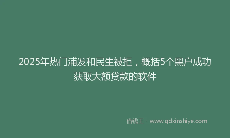 2025年热门浦发和民生被拒，概括5个黑户成功获取大额贷款的软件