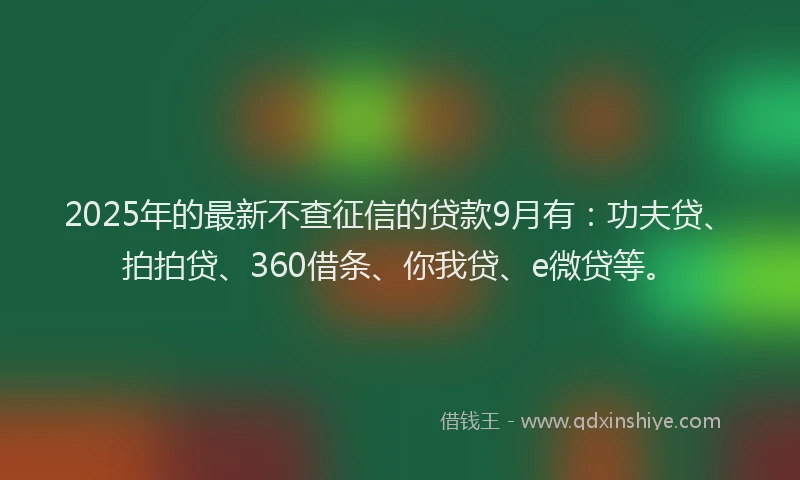 2025年的最新不查征信的贷款9月有：功夫贷、拍拍贷、360借条、你我贷、e微贷等。