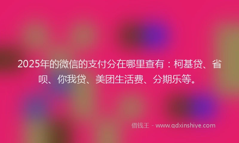 2025年的微信的支付分在哪里查有：柯基贷、省呗、你我贷、美团生活费、分期乐等。