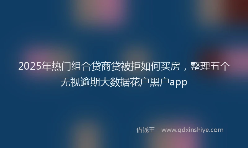 2025年热门组合贷商贷被拒如何买房，整理五个无视逾期大数据花户黑户app