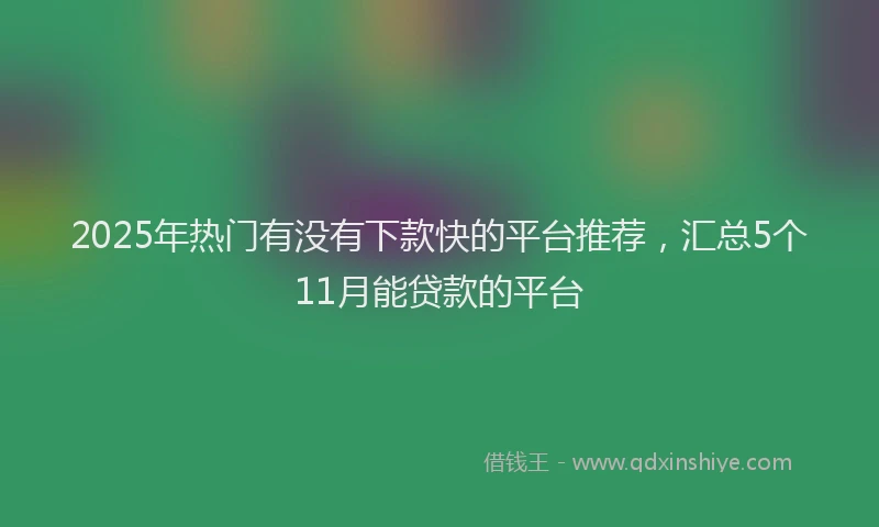 2025年热门有没有下款快的平台推荐，汇总5个11月能贷款的平台