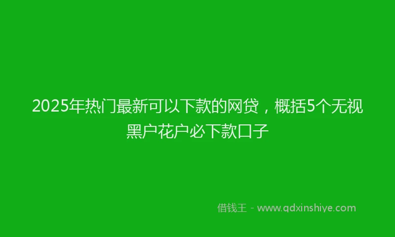 2025年热门最新可以下款的网贷，概括5个无视黑户花户必下款口子