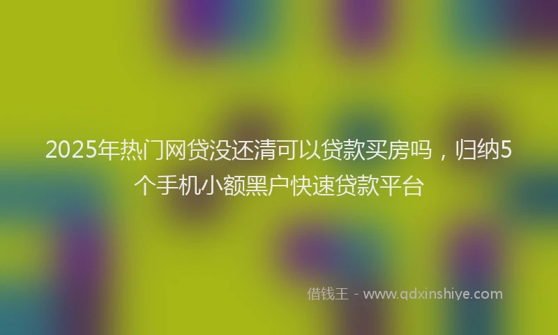 2025年热门网贷没还清可以贷款买房吗，归纳5个手机小额黑户快速贷款平台