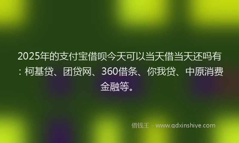 2025年的支付宝借呗今天可以当天借当天还吗有：柯基贷、团贷网、360借条、你我贷、中原消费金融等。