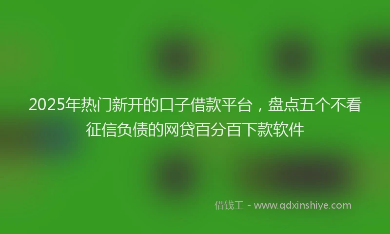 2025年热门新开的口子借款平台，盘点五个不看征信负债的网贷百分百下款软件