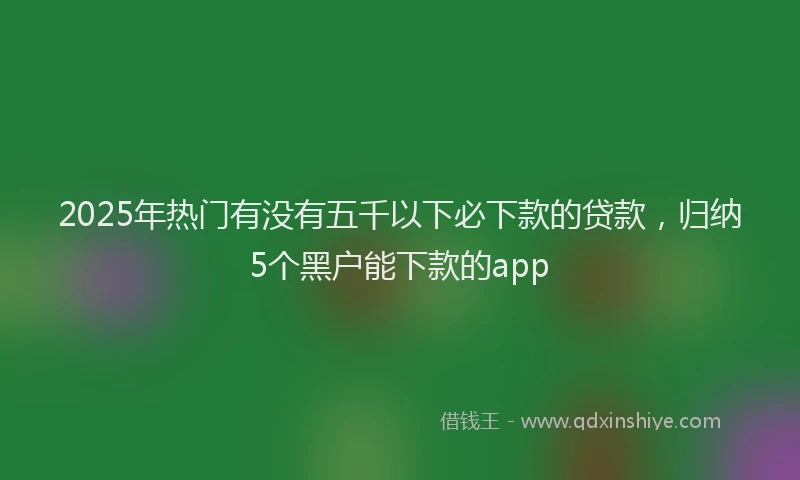 2025年热门有没有五千以下必下款的贷款，归纳5个黑户能下款的app