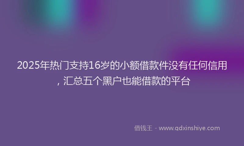 2025年热门支持16岁的小额借款件没有任何信用，汇总五个黑户也能借款的平台