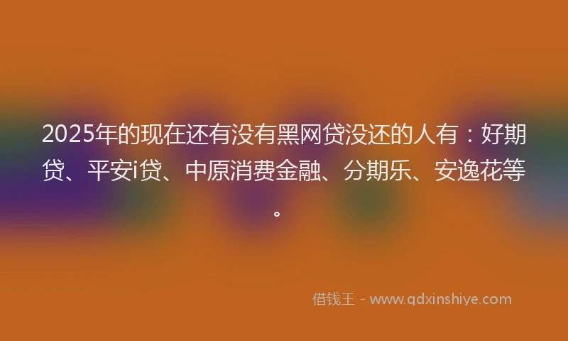 2025年的现在还有没有黑网贷没还的人有：好期贷、平安i贷、中原消费金融、分期乐、安逸花等。